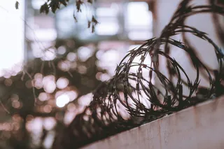 带刺铁丝的选择性聚焦摄影