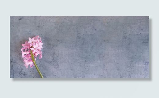 粉红色的花，风信子，花，粉红色，粉红色的花，花，春天的花