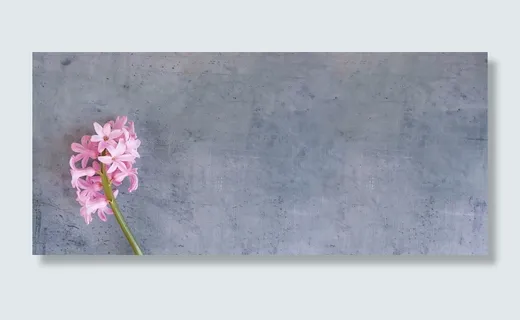 粉红色的花,风信子,花,粉红色,粉红色的花,花,春天的花 粉红色的花,风信子,花,粉红色,粉红色的花,花,春天的花