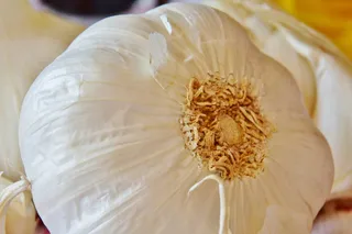 大蒜，食品，蔬菜，大蒜丁香，香料，健康，块茎，芳香