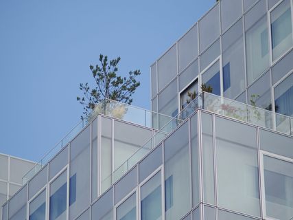 鹿特丹，荷兰，天际线，城市，野蛮，混凝土，建筑，天空