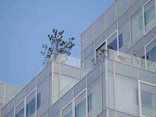 鹿特丹，荷兰，天际线，城市，野蛮，混凝土，建筑，天空