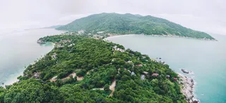 鸟瞰、视图、绿色、岛屿、区域、树木、灰色、中间