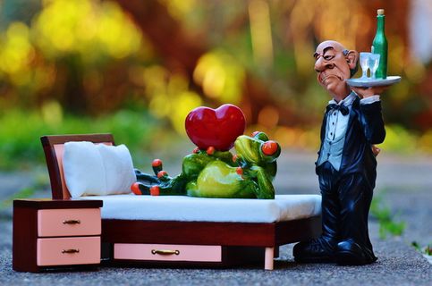 青蛙，床，手术，管家，放松，休息，有趣，可爱