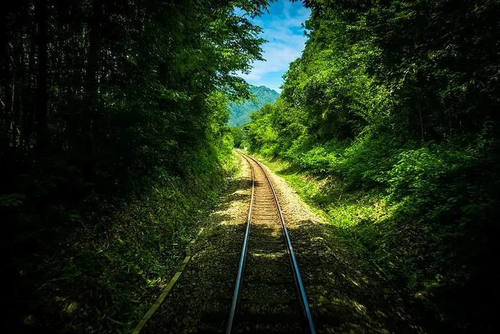 树木之间的铁路、铁路、轨道、绿化、树木、植物、自然、旅行