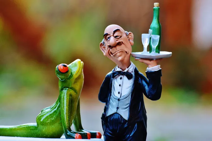 青蛙，床，手术，管家，放松，休息，有趣，可爱