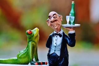 青蛙，床，手术，管家，放松，休息，有趣，可爱