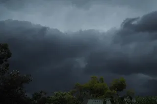 风暴，黑暗，云-天空，树，植物，天空，自然之美，风景-自然