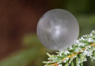 泡沫, 肥皂泡, 冻结, 冬天, 冷, 冰, 冰冻泡泡, 圣诞节