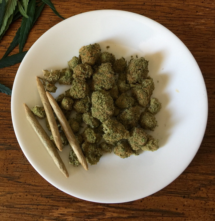 大麻，大麻，杂草，药物，大麻，药物，植物，医疗