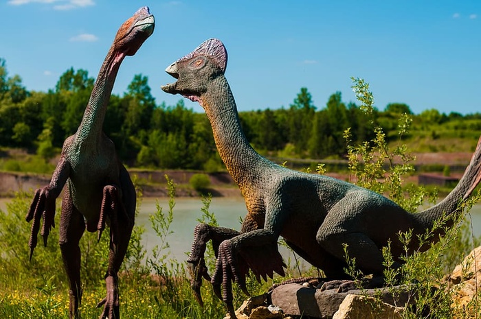 两只灰色恐龙，恐龙，gad，哺乳动物，恐龙，灭绝，模型，龙