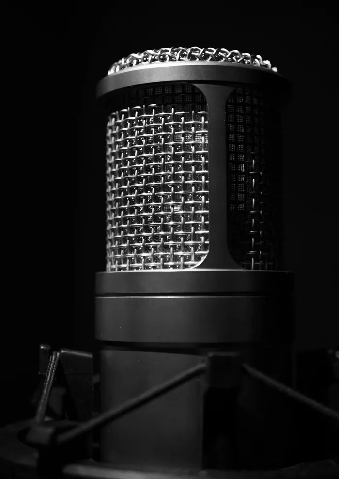 micro、人声、声音、歌曲、注册、音乐、麦克风、输入设备