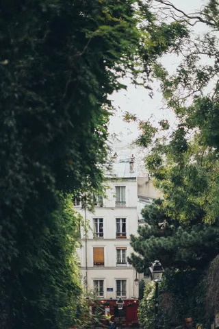 树木环绕的白色混凝土建筑