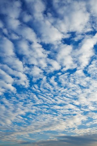 纳米比亚，云天，天空，自然之美，低角度视野，宁静，蓝色，风景-自然