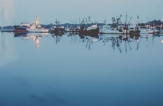 停泊在港口的船只