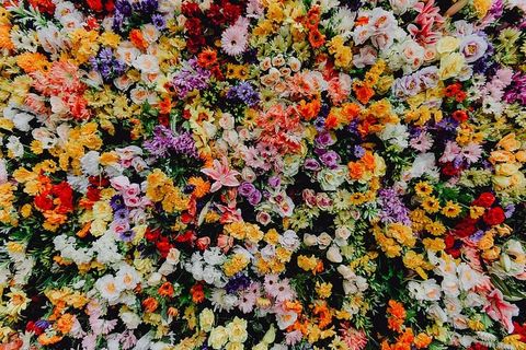 圣安东尼奥艺术节-各种颜色的花朵背景墙-葡萄牙里斯本里斯本博物馆