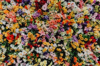 圣安东尼奥艺术节-各种颜色的花朵背景墙-葡萄牙里斯本里斯本博物馆