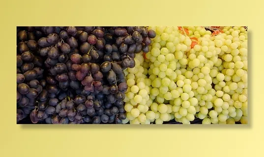 葡萄，白葡萄，蓝葡萄，葡萄酒，水果，葡萄，甜的，白的