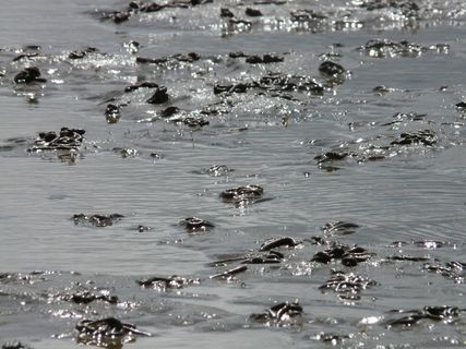 瓦特, 瓦登海, 北海, 石里克, 沙, 水, 光泽度, 闪光的