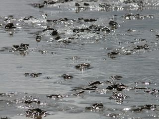 瓦特, 瓦登海, 北海, 石里克, 沙, 水, 光泽度, 闪光的