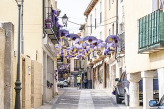 紫色雨伞衬在灰色水泥路面上