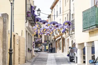 紫色雨伞衬在灰色水泥路面上