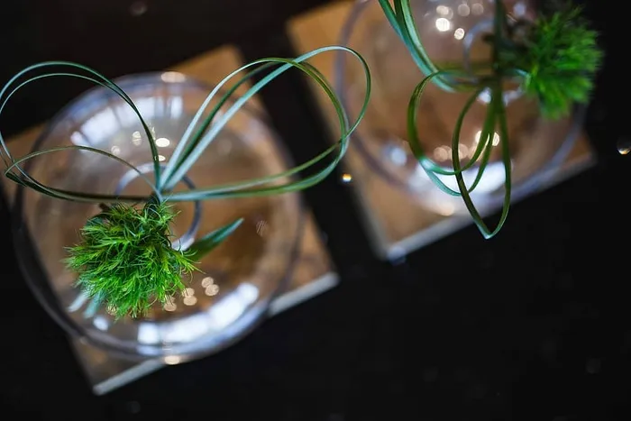 玻璃瓶里有一束带的小草