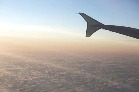 飞机，机翼，飞行，旅行，度假，旅行，运输，航空