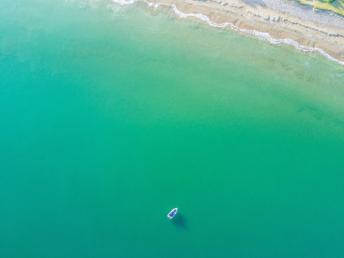 鸟，视线，船，身体，水，海，海岸，海滩