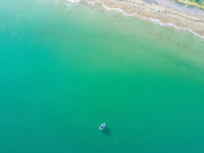 鸟，视线，船，身体，水，海，海岸，海滩