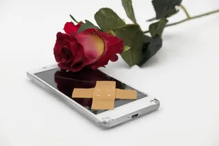 补丁，联想，玫瑰，花，开花，开花，再见，说再见