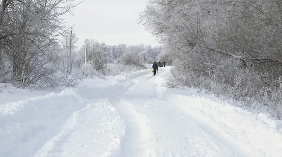 雪，户外，风暴，自然，暴雪，冬天，人，人