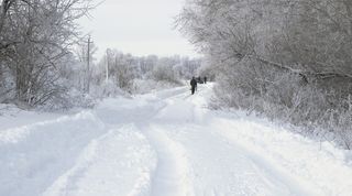 雪，户外，风暴，自然，暴雪，冬天，人，人
