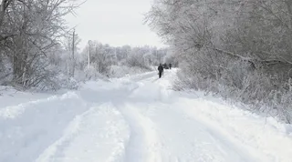 雪，户外，风暴，自然，暴雪，冬天，人，人