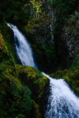 植物、瀑布、新、特色、绿色、自然、肖像、景观
