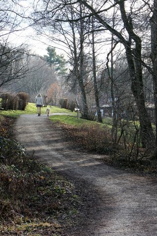 走开，人，女人，狗，散步，动物，人，去散步