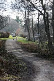 走开,人,女人,狗,散步,动物,人,去散步 走开,人,女人,狗,散步,动物,人,去散步