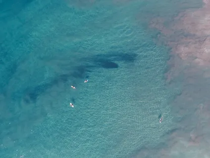 航拍、全景摄影、海滩、大海、海洋、自然、蓝色、船 航拍、全景摄影、海滩、大海、海洋、自然、蓝色、船