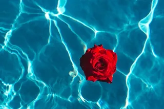 在一个温暖的夏日，一座游泳池的碧水上升起了一座清新的花园