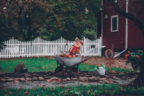 手推车上的布娃娃照片