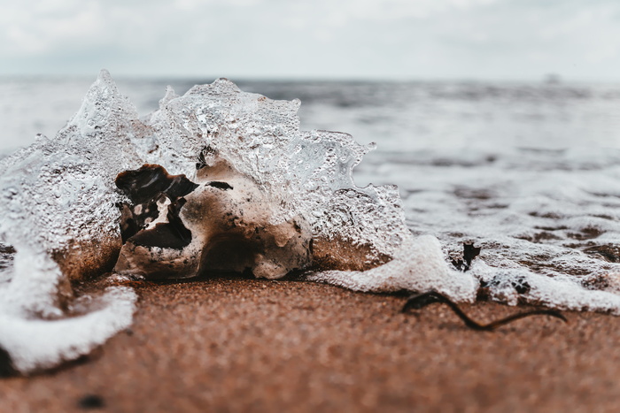 海滨贝壳
