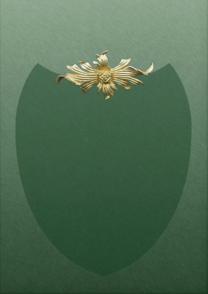 证书、认可、表扬、激励、证明、墙面装饰、装饰、绿色