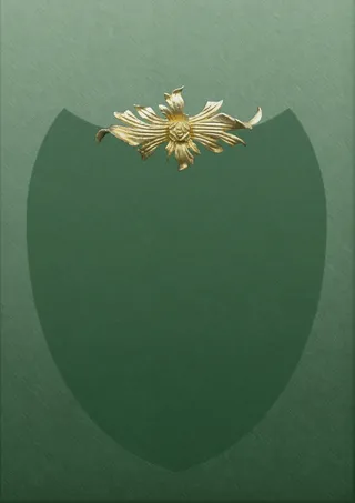 证书、认可、表扬、激励、证明、墙面装饰、装饰、绿色