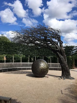 桑树，球，莎士比亚，花园，云天，树，植物，自然