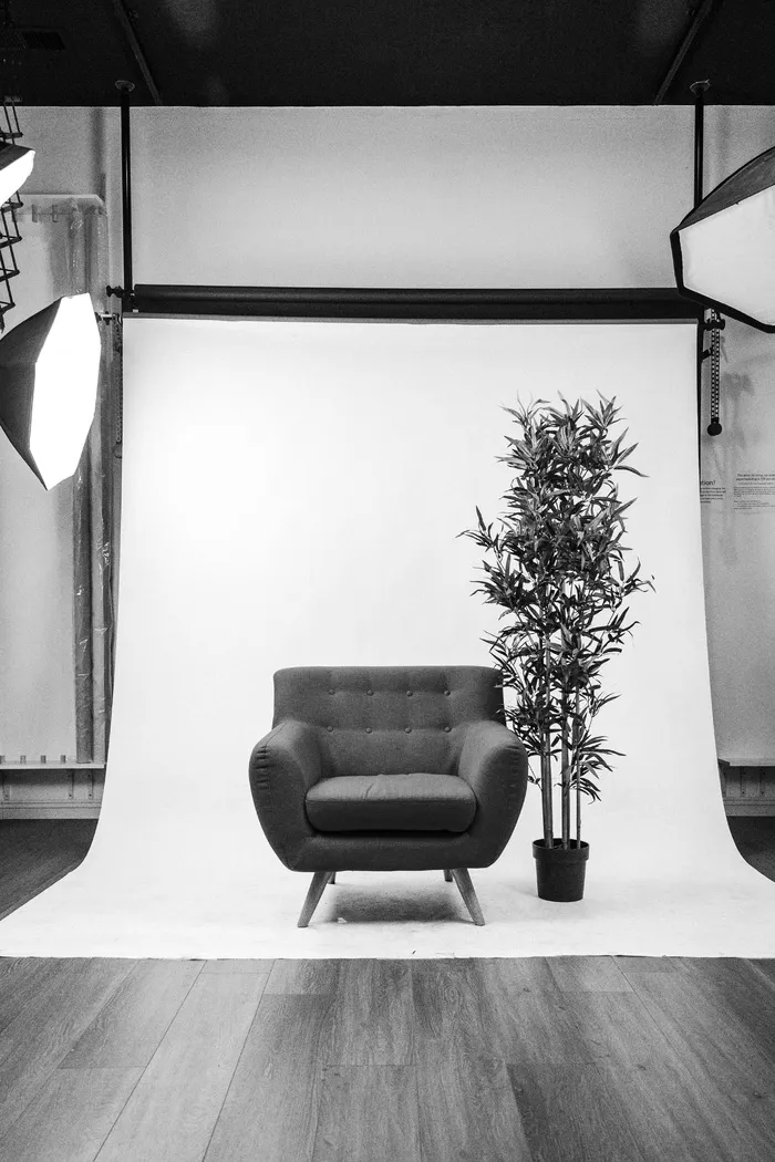 家具，沙发，椅子，房间，室内，客厅，扶手椅，植物