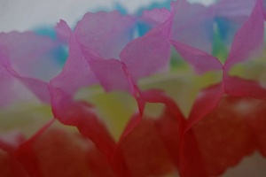 梳子，蜂窝纸，花环，彩色，生日，结构，图案，装饰