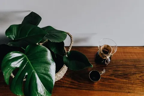 Chemex金杯咖啡机