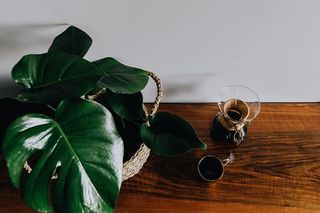 Chemex金杯咖啡机