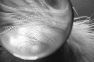 放大的白色羽毛，玻璃球，羽毛，舒适，通风，春装，鸟羽毛，羽毛重量