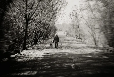 间隔者，父亲，儿子，总计，孩子，家庭，男孩，人